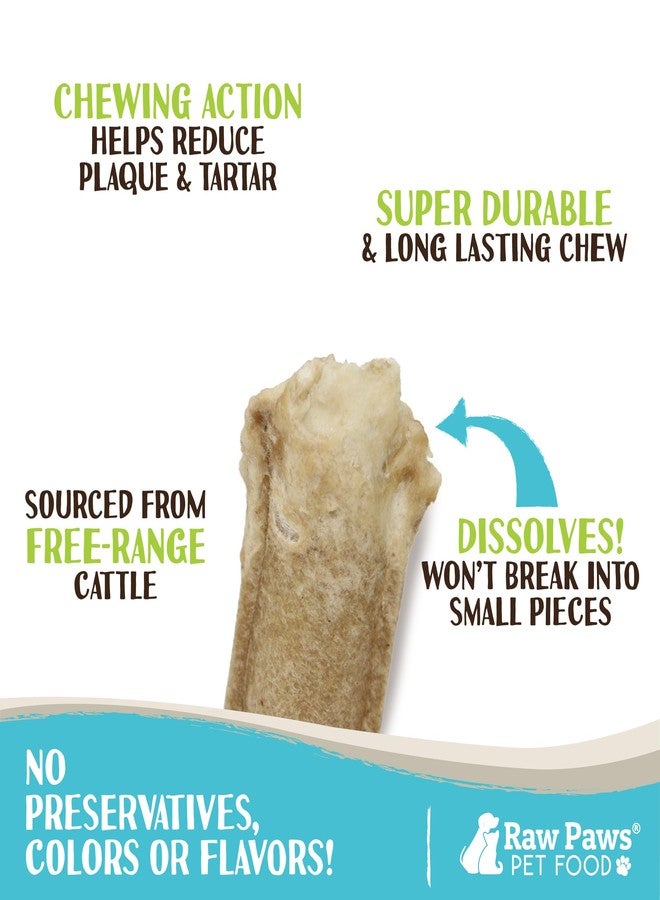 Raw Paws 5-inch Compressed Rawhide Rolls for Dogs, 20-ct - Packed in The USA - Pressed Rawhides for Dogs - Free-Range Raw Dog Hide Chews - Natural Dog Chew Sticks for Puppies & Small Breeds - Image 2